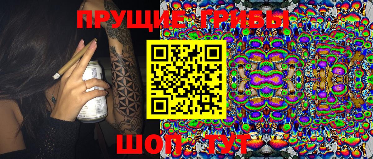 где найти наркотики  Вход с VPN  Медногорск  Псилоцибиновые грибы мухоморы 