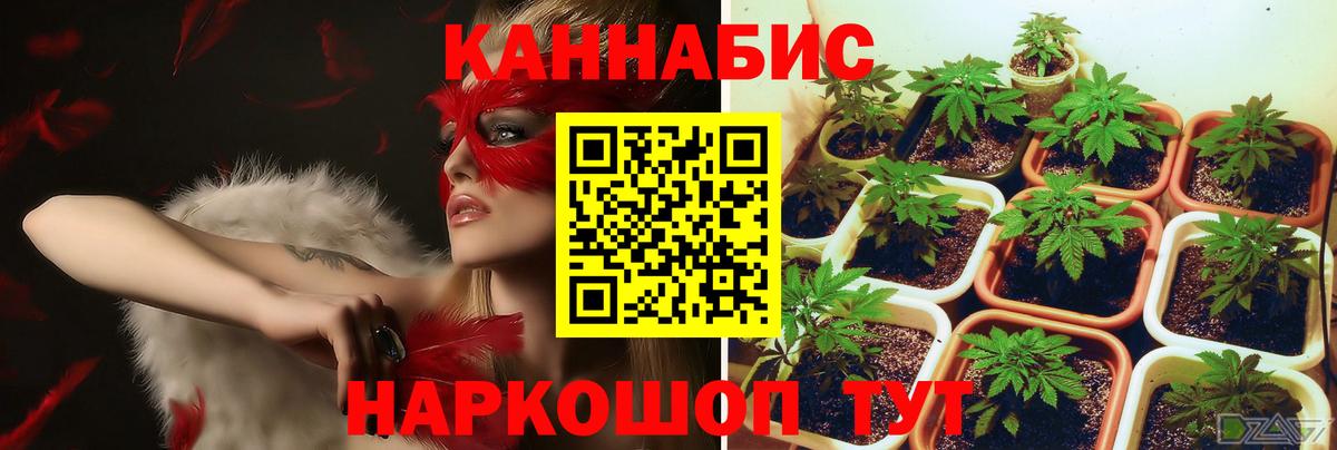 Бошки марихуана LSD WEED Медногорск